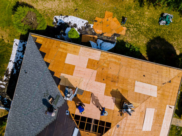 Best Commercial Roofing Services  in Ricardo, TX