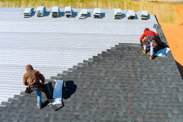 Best Local Roofing Companies  in Ricardo, TX