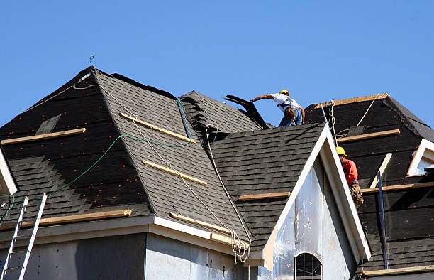 Best Metal Roofing Contractor  in Ricardo, TX