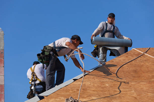 Professional Roofing Contractor in Ricardo, TX