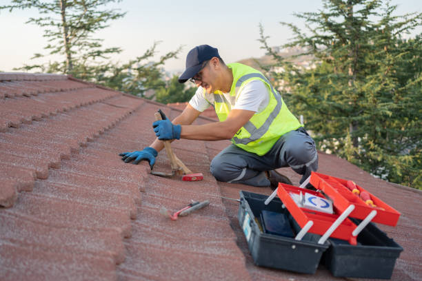 Professional Roofing Contractor in Ricardo, TX